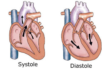 Diastolic Pressure Clip Art.