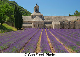 Stock Image of Abbey Senanque (Provence, France).