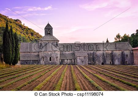 Picture of Abbaye de Senanque in Provence before sunset, France.