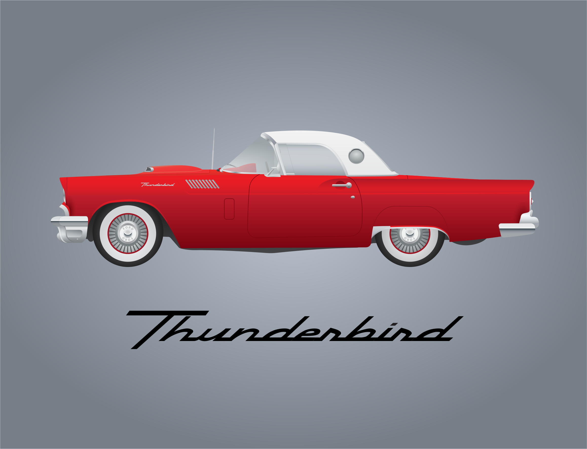 t bird