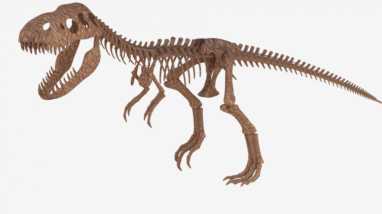 t rex skeleton clipart png 10 free Cliparts | Download images on