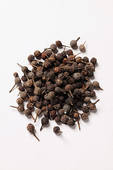 Stock Images of Cubeb (tailed pepper) 11200186.