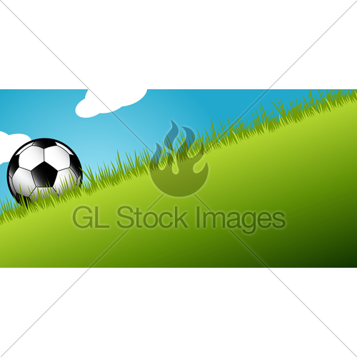 Soccer Ball In Long Grass · GL Stock Images.