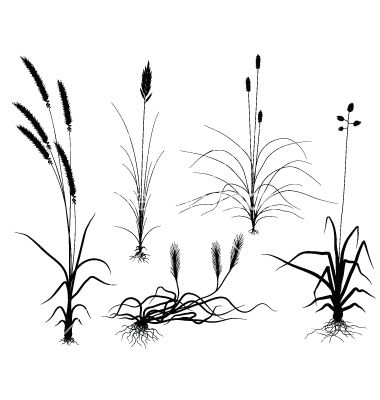 Download tall grass clipart silhouette 20 free Cliparts | Download ...