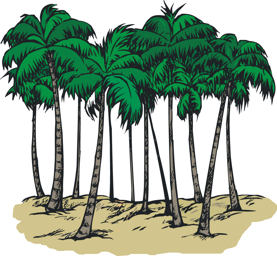 Tall trees clipart 20 free Cliparts | Download images on Clipground 2023
