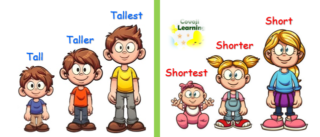 Tall vs Short.