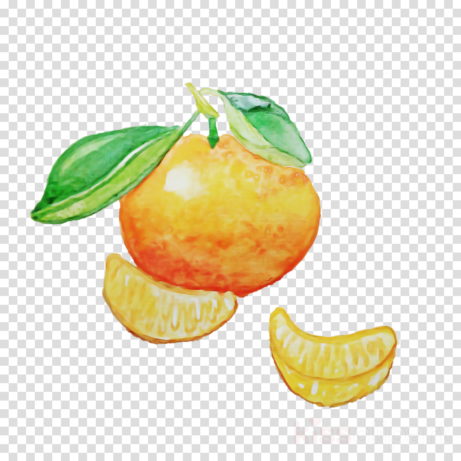 fruit citrus tangerine yellow food clipart.