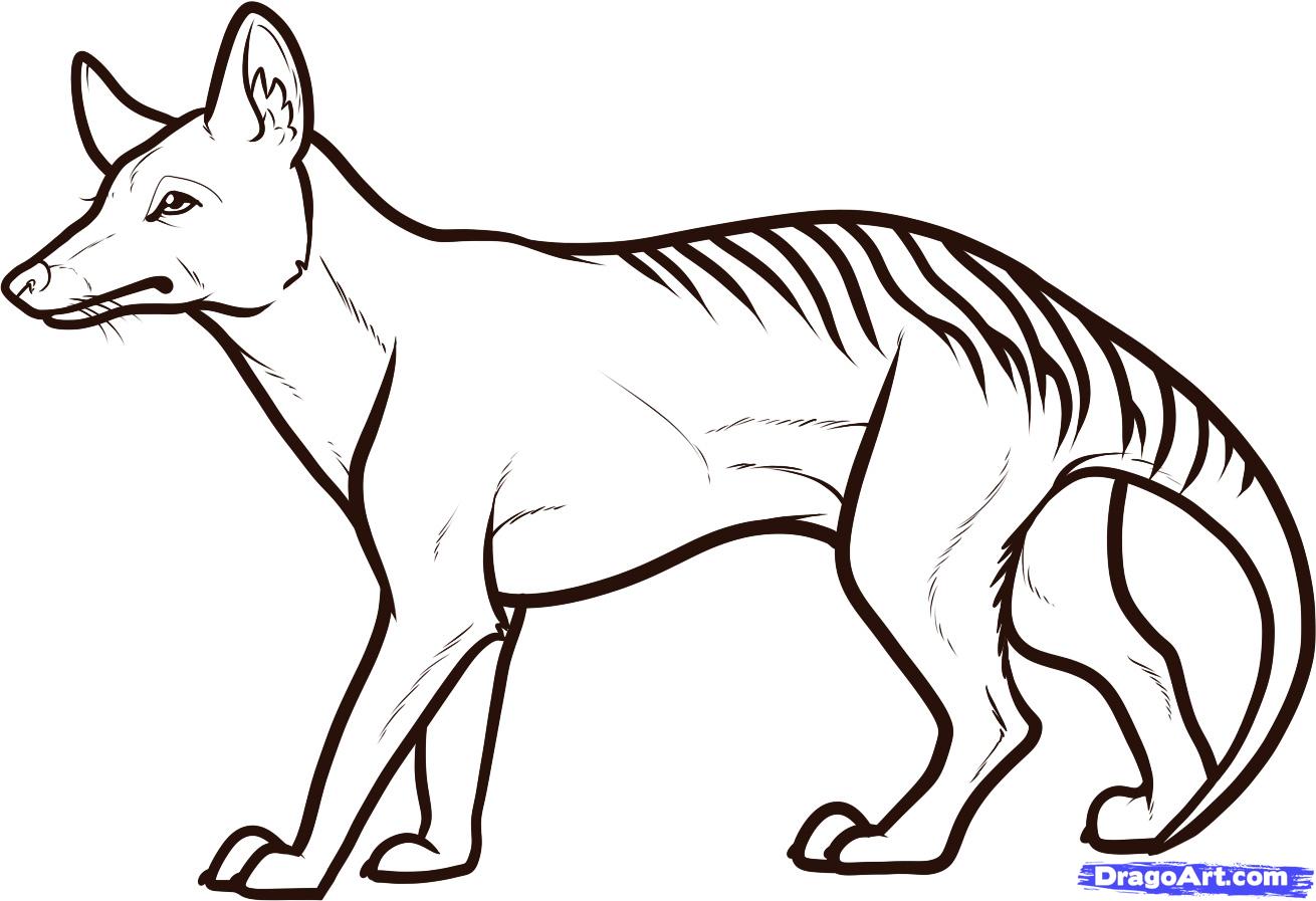 Tasmanian tiger clipart 20 free Cliparts | Download images on