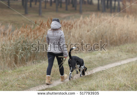 Woman Walking Dog Stock Images, Royalty.