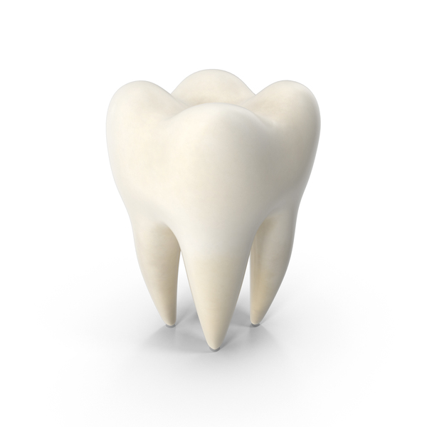 Tooth PNG Images & PSDs for Download.