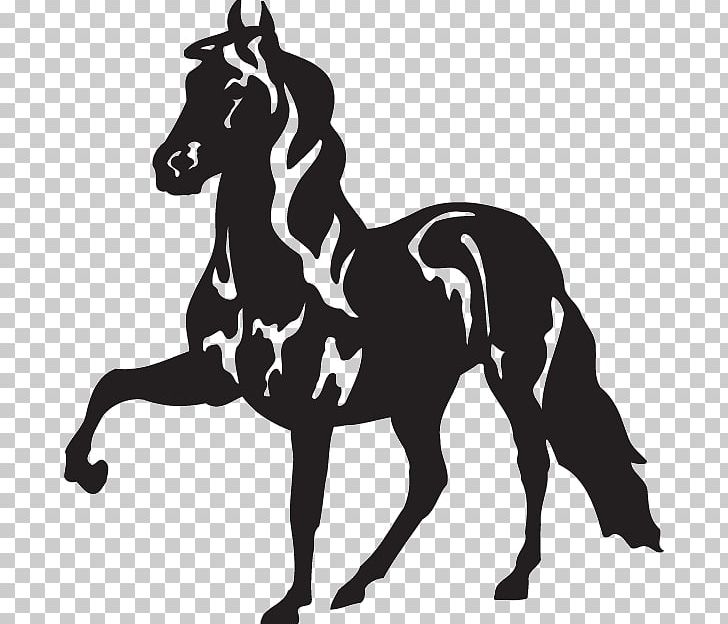 Peruvian Paso Tennessee Walking Horse Silhouette PNG.