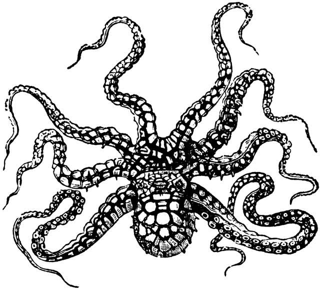 Tentacles clipart - Clipground