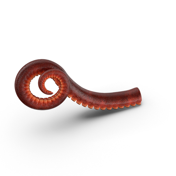 Tentacles PNG Images & PSDs for Download.