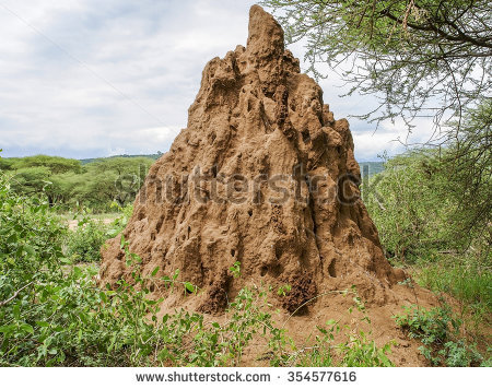 Termite Hill Stock Images, Royalty.