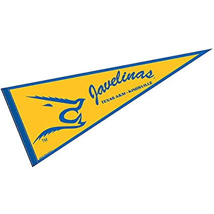 College Flags and Banners Co. Texas A&M Kingsville Javelinas Pennant Full  Size Felt.