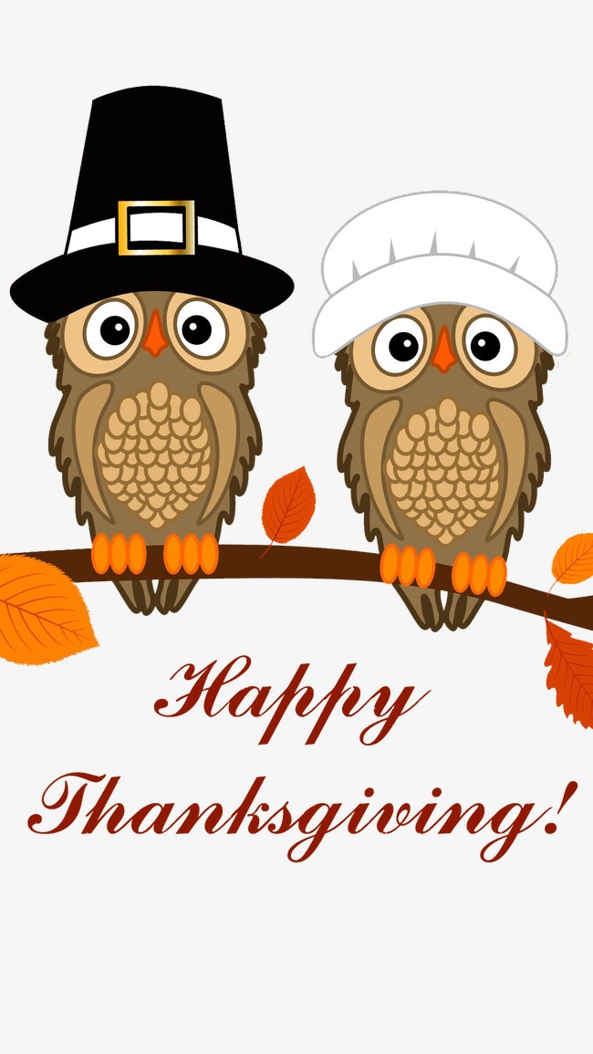 thanksgiving owl clipart 10 free Cliparts | Download images on ...