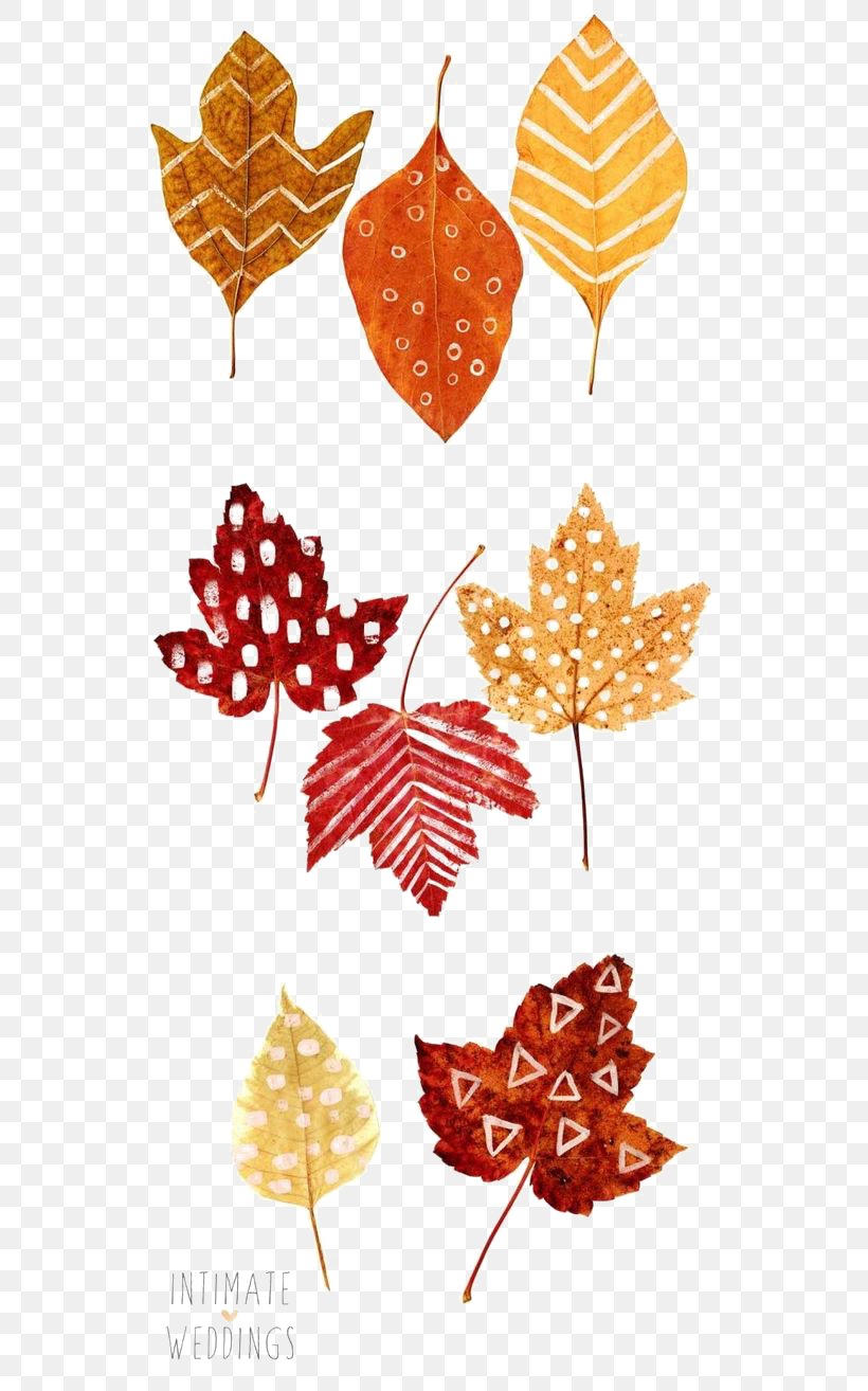 Thanksgiving Autumn Leaf Color Place Card Drawing, PNG.