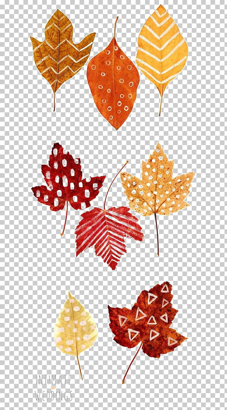 Thanksgiving Autumn leaf color Place card Drawing, Autumn.