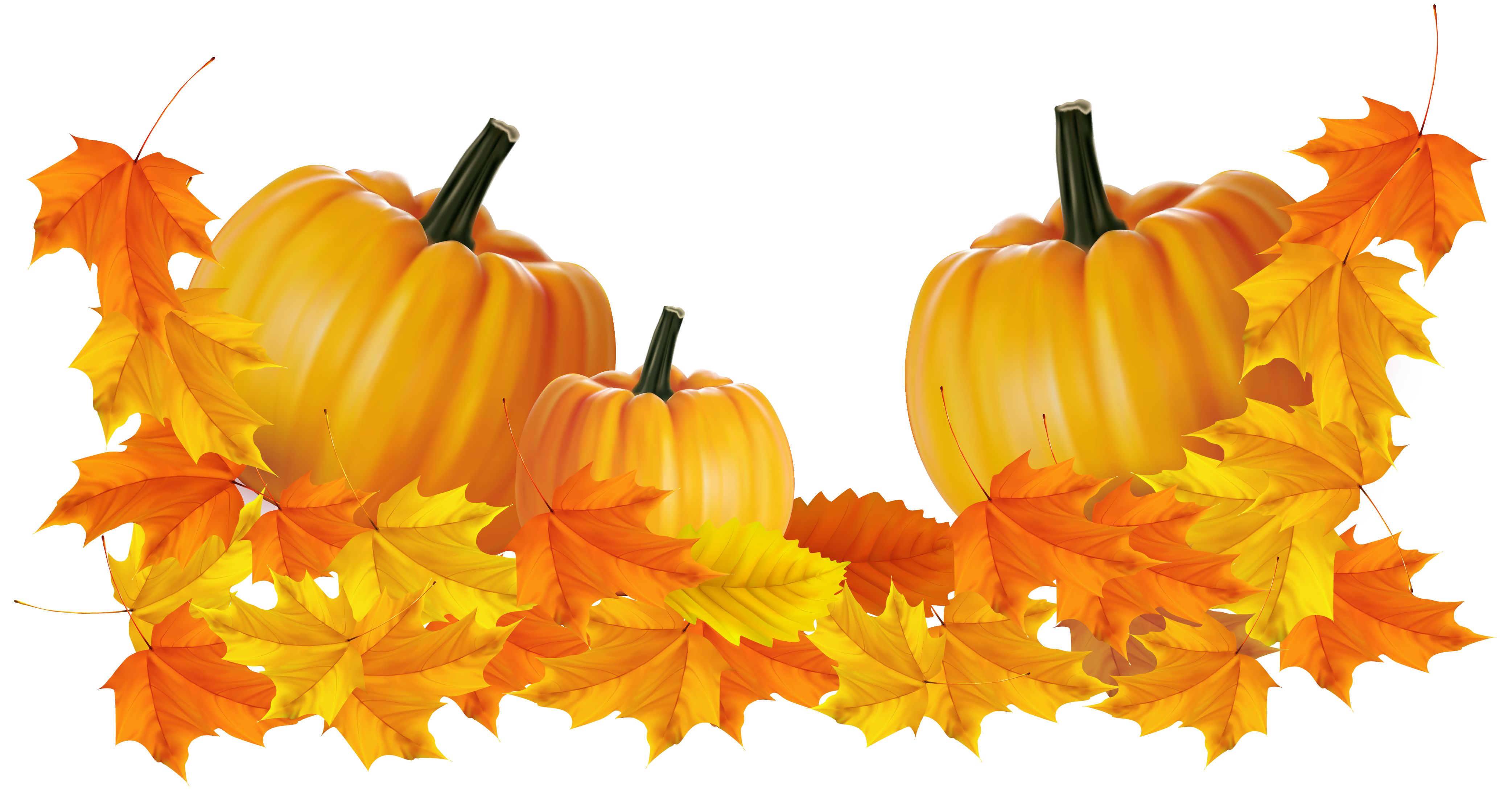 thanksgiving pumpkin clipart 20 free Cliparts | Download images on