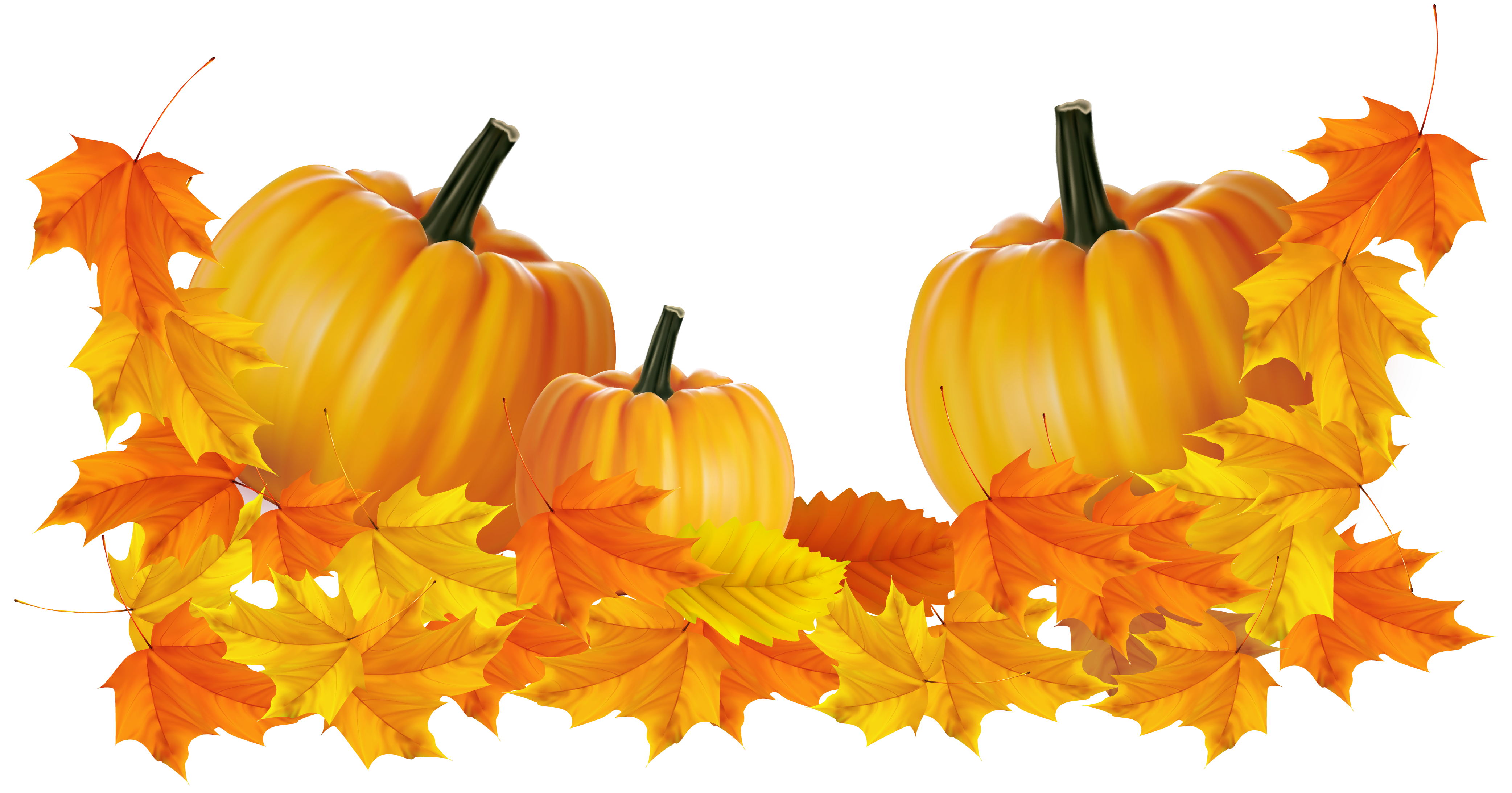 thanksgiving pumpkin clipart 20 free Cliparts | Download ...