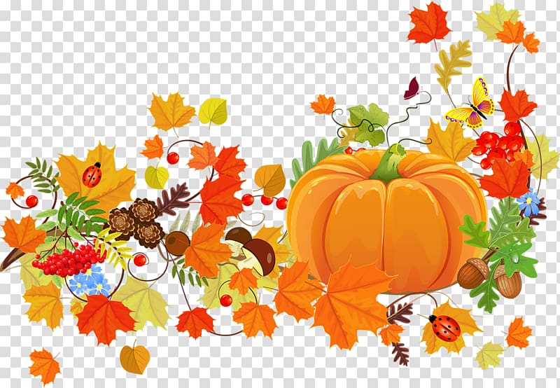 Pumpkin and flowers illustration, Thanksgiving dinner.