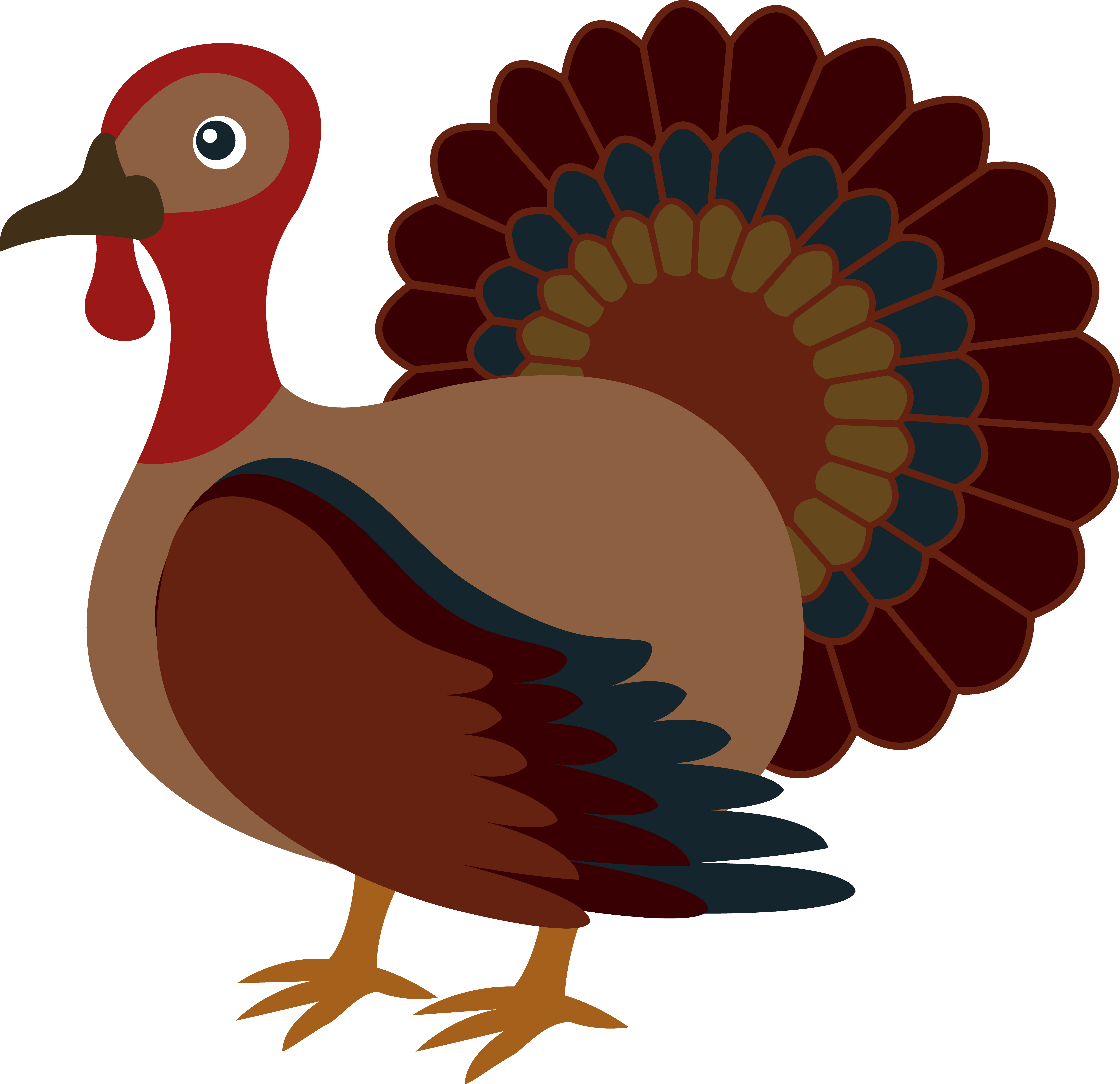 Thanksgiving turkey facts clipart #44546.