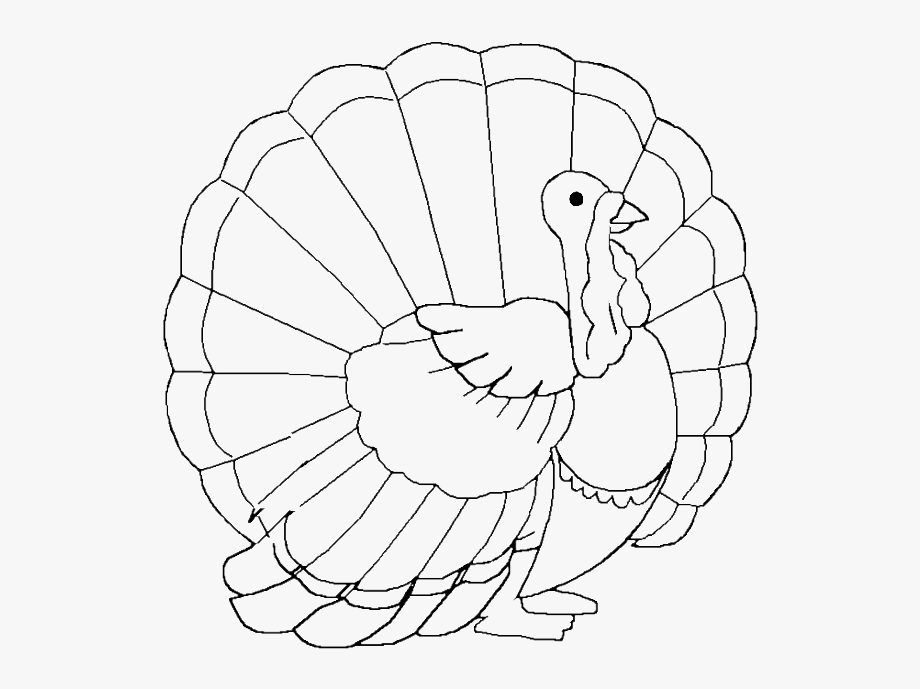 Turkey Coloring Pages Free And Printable Clip Art Royalty.