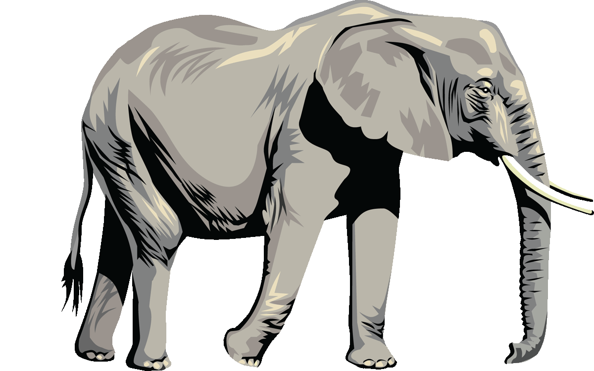 African elephant hd clipart.