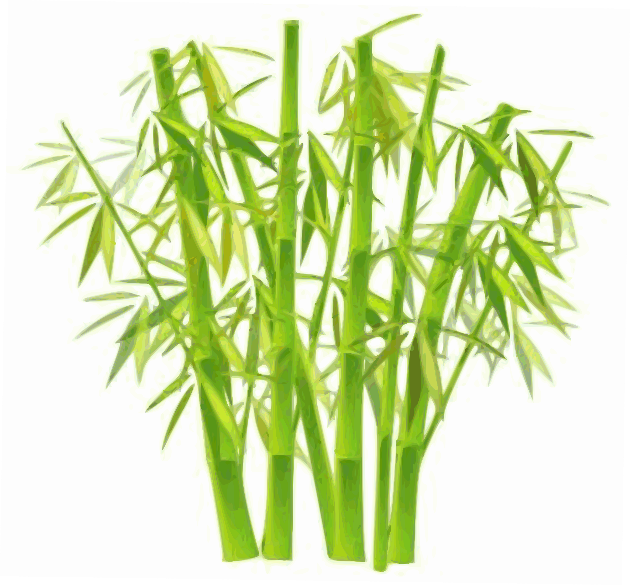 Clipart Bamboo Hd.