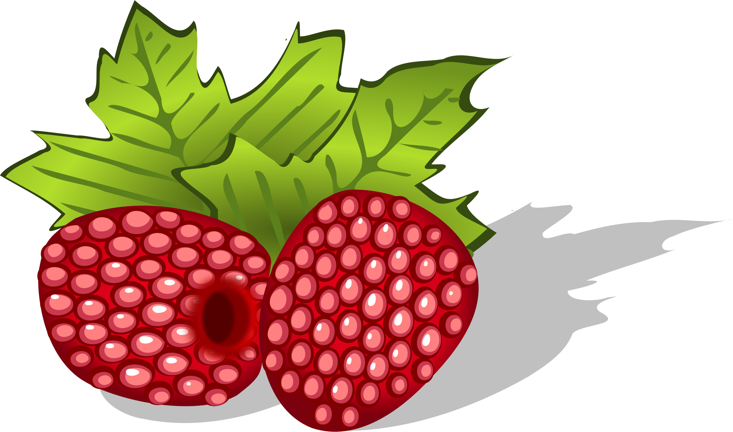 The berries clipart 20 free Cliparts | Download images on Clipground 2021