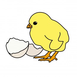 Chick hatching clipart.