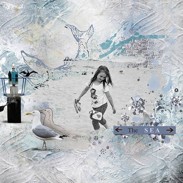 The Cold Sea Collection. The Cold Sea Collection.