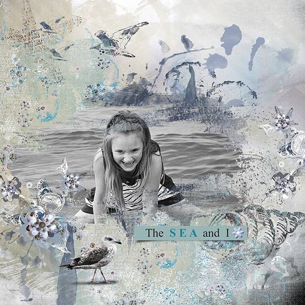 The Cold Sea Collection. The Cold Sea Collection.