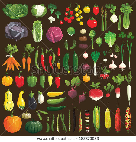 Great Collection Clip Art Vegetables Stock Vector 182370083.