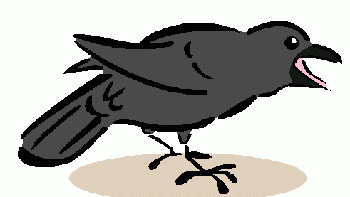 The crow clipart.