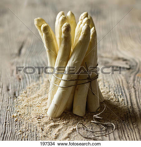 Stock Photo of Asparagus grown in the sand in The Landes 197334.