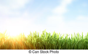 Clip Art of Fresh morning dew on spring grass, natural background.
