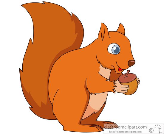 The squirrel clipart 20 free Cliparts | Download images on Clipground 2024