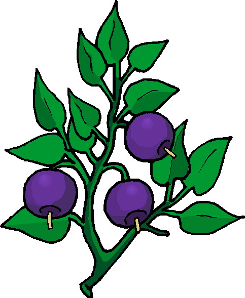 Vegetation Clipart.