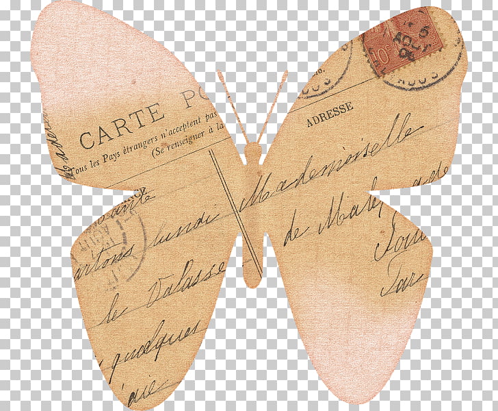 Web page Moth, Vintage sea PNG clipart.