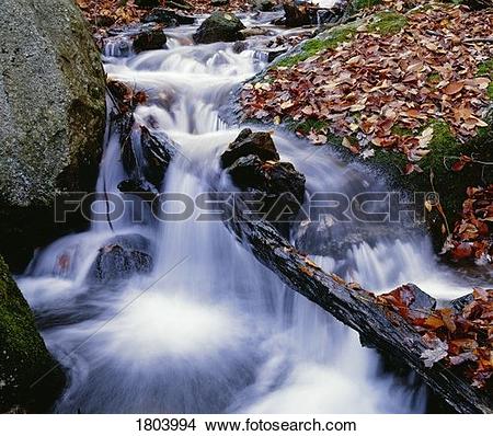 Stock Photo of Cascade with fall leaves 1803994.