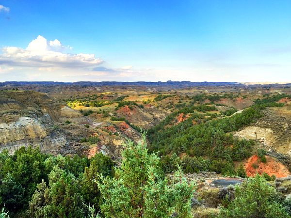 Theodore Roosevelt National Park Scenic Drives adventure.