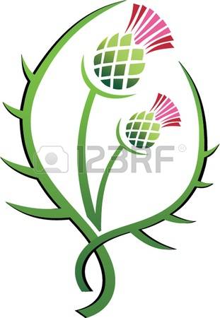 961 Thistle Stock Vector Illustration And Royalty Free Thistle Clipart.