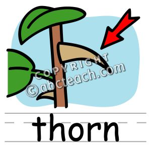 Thorn Clip Art.