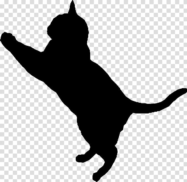 Cat Silhouette , cat illustration transparent background PNG.