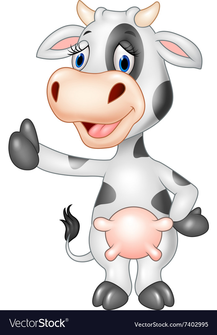Cartoon funny cow giving thumb up isolated.