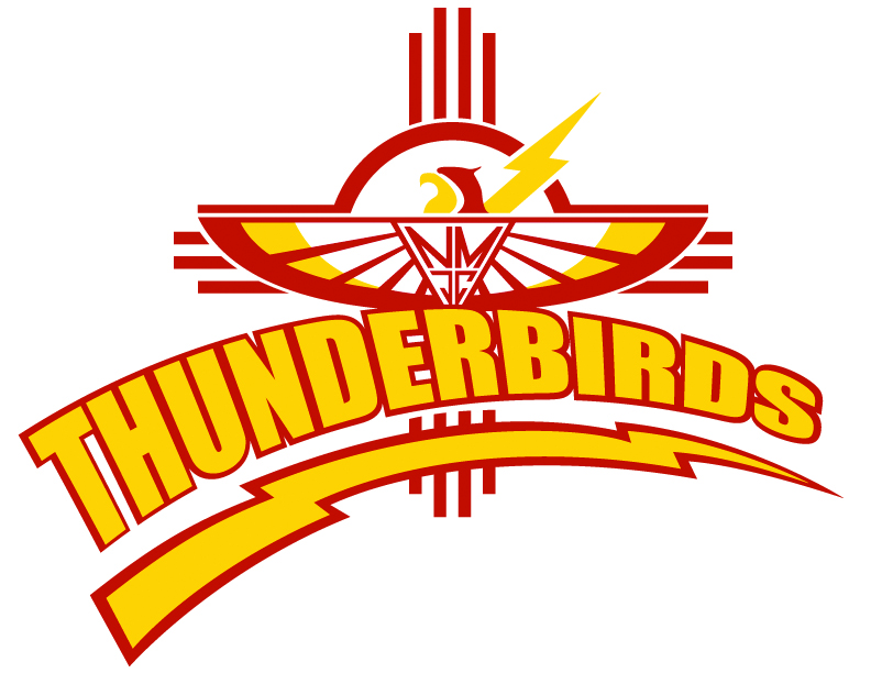 thunderbird high school new mascot