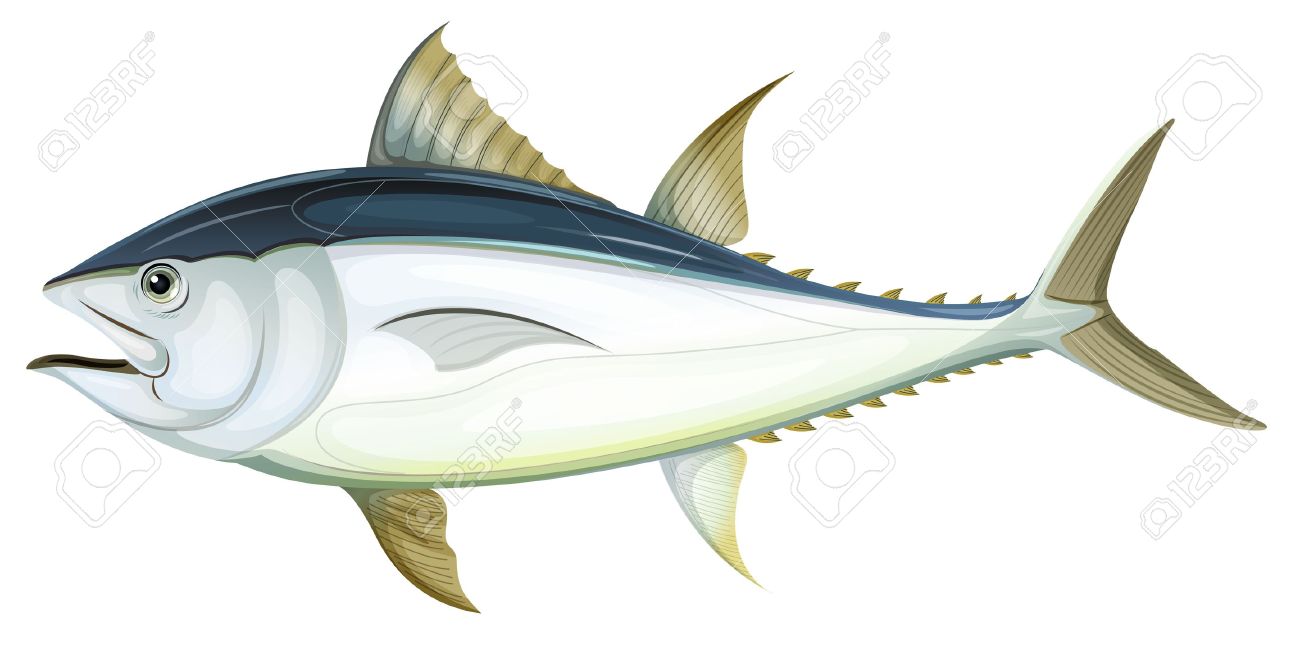 Bluefin Tuna Clipart.
