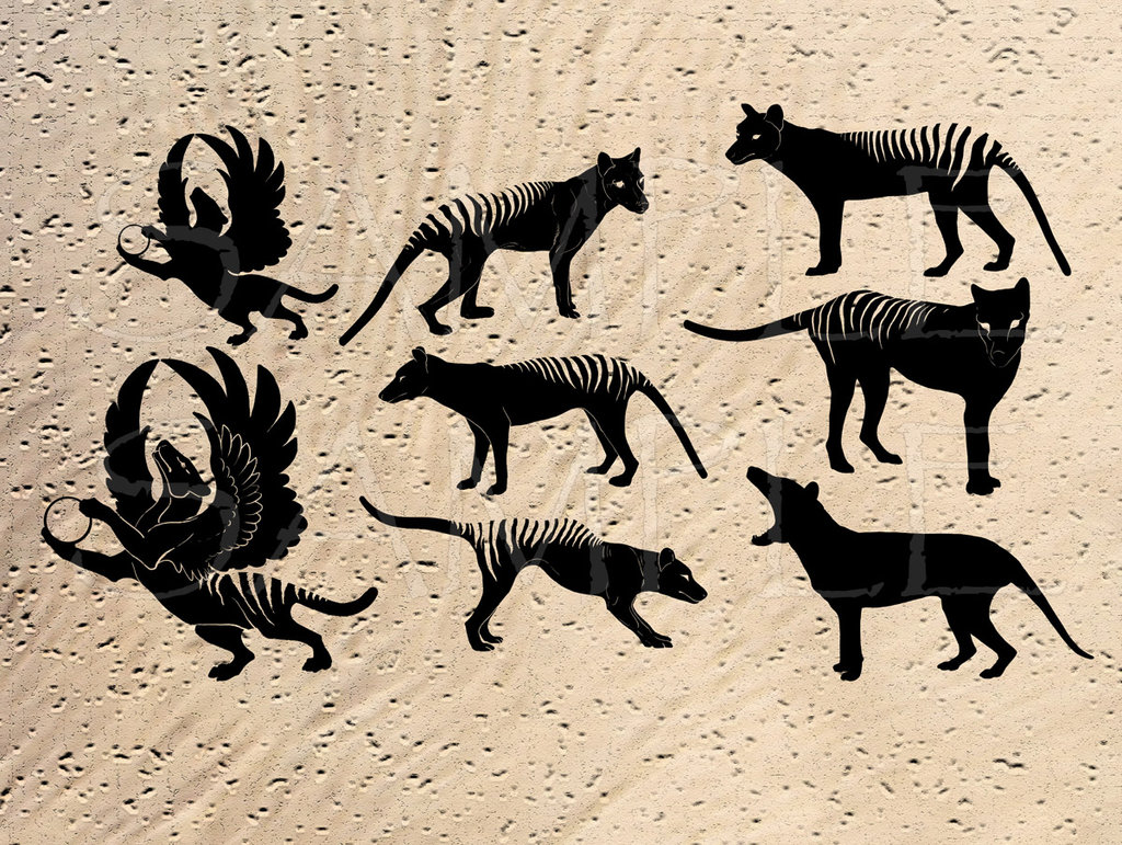 Thylacine clipart 20 free Cliparts Download images on Clipground 2024