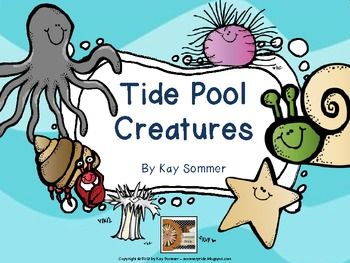 1000+ images about Tide Pools on Pinterest.